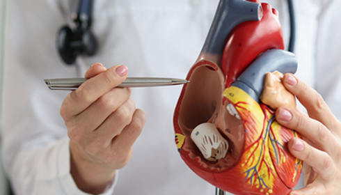 Heart Hospital in bangalore