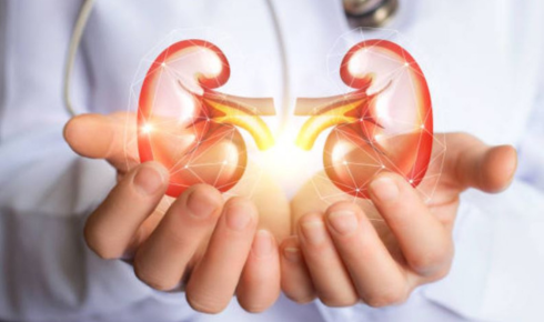 kidney stone Hospital In Bangalore