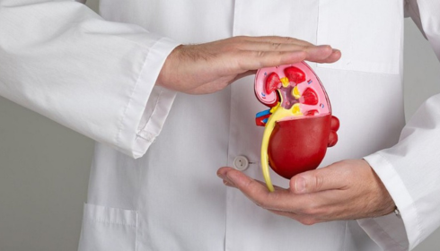 best kidney transplant hospital in Bangalore